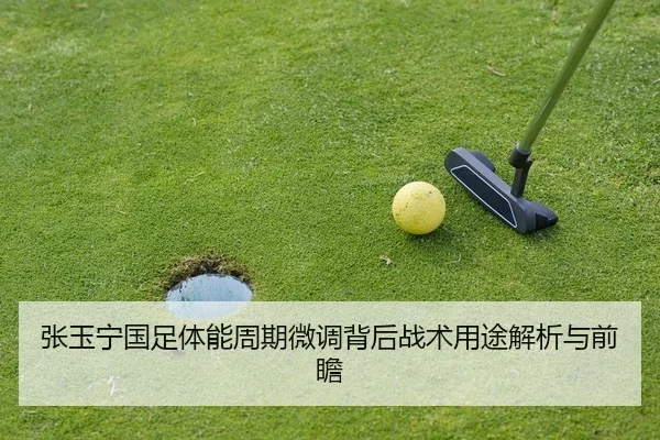 zhang-yu-ning-guo-zu-ti-neng-zhou-qi-wei-diao-bei-hou-zhan-shu-yong-tu-jie-xi-yu-qian-zhan-2-666.jpg